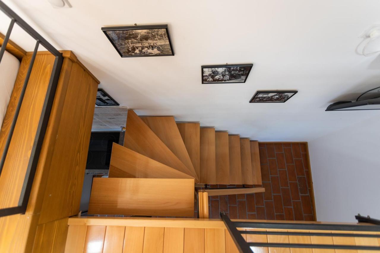 Kompleks Apartmana Superstar23A Soko Banja Dış mekan fotoğraf