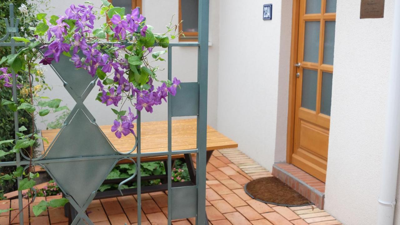 Kompleks Apartmana Superstar23A Soko Banja Dış mekan fotoğraf