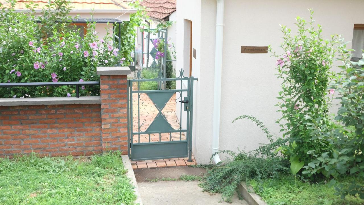 Kompleks Apartmana Superstar23A Soko Banja Dış mekan fotoğraf