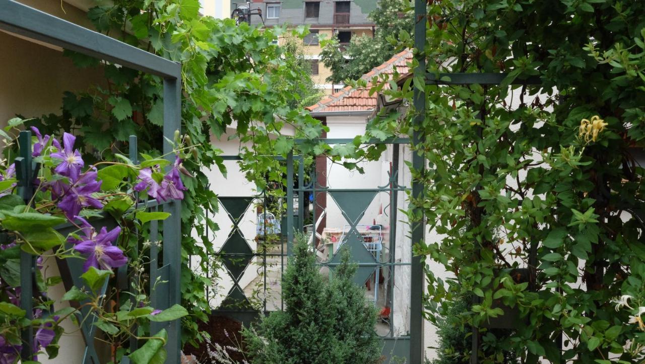 Kompleks Apartmana Superstar23A Soko Banja Dış mekan fotoğraf