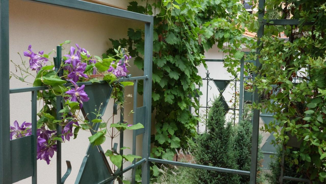 Kompleks Apartmana Superstar23A Soko Banja Dış mekan fotoğraf