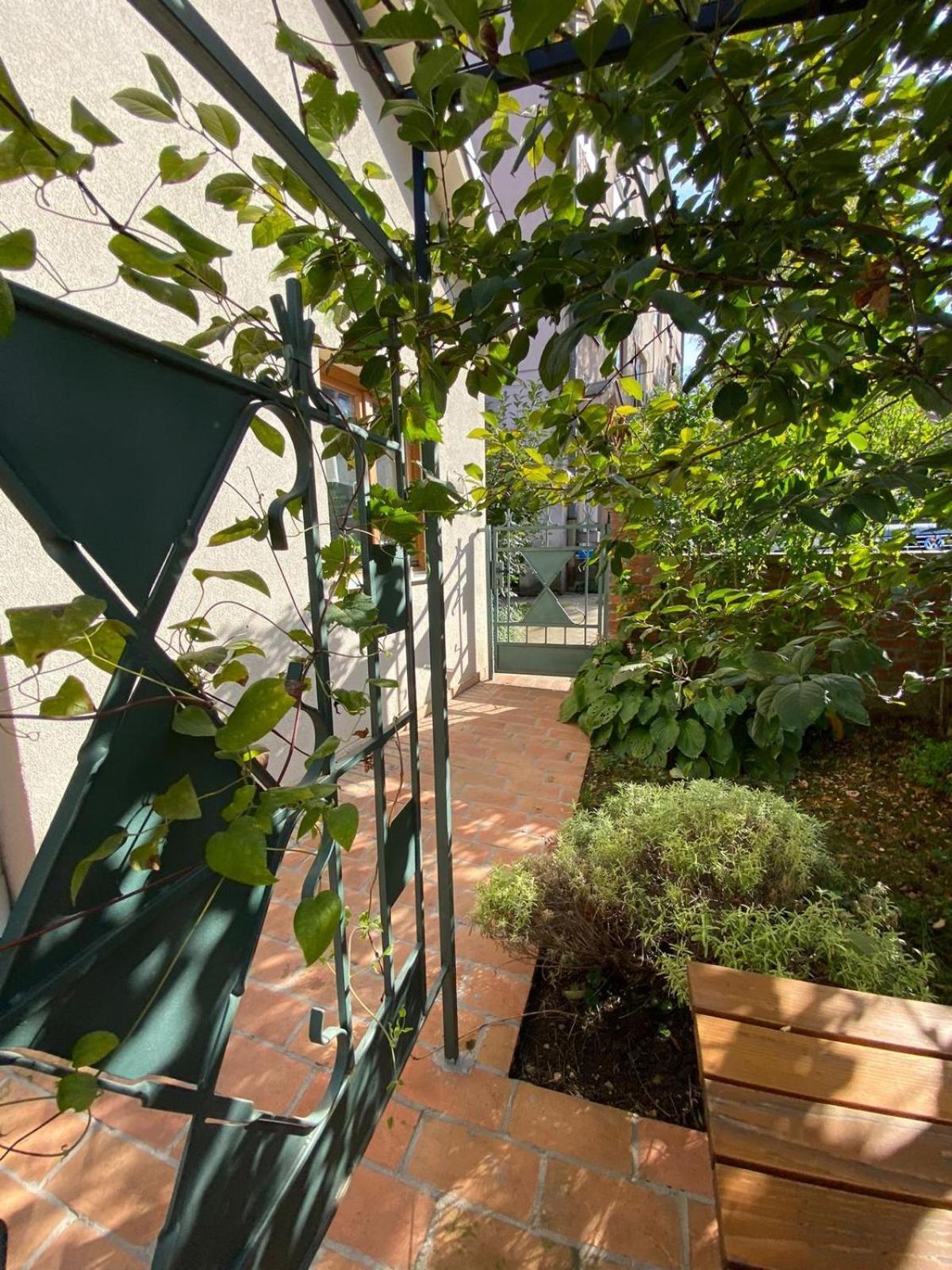 Kompleks Apartmana Superstar23A Soko Banja Dış mekan fotoğraf