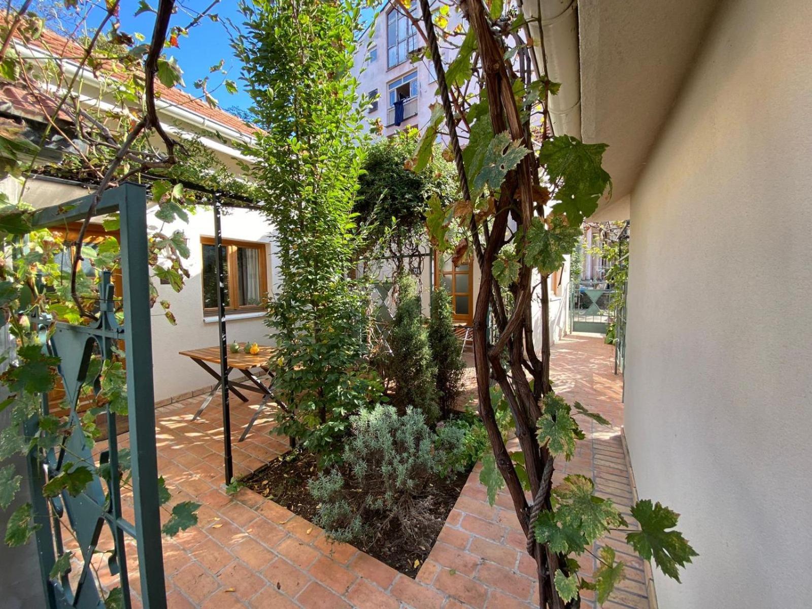 Kompleks Apartmana Superstar23A Soko Banja Dış mekan fotoğraf